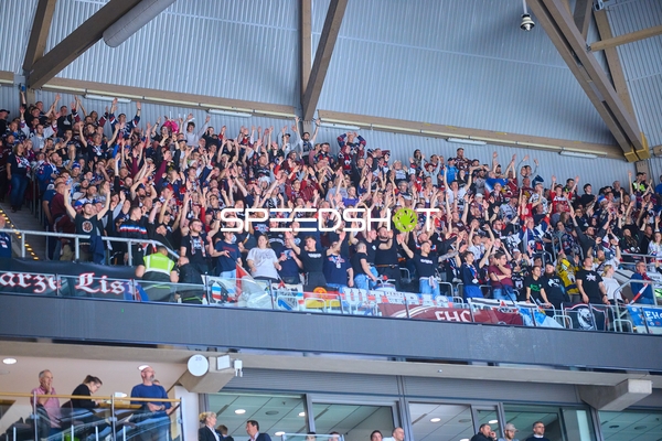 Fans der Adler Mannheim jubeln