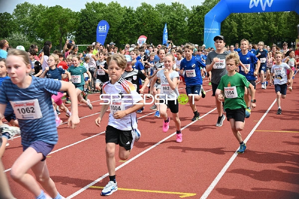 TVE Sommerlauf Edingen 2025 Start