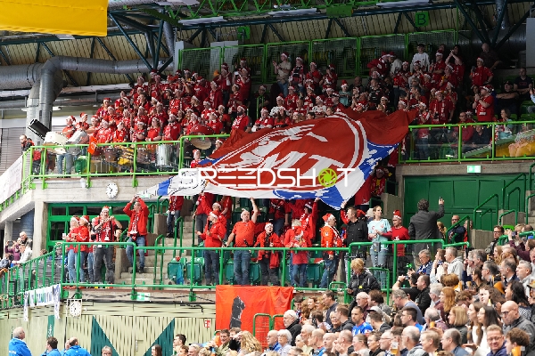 Fans von MT Melsungen feiern in der Halle