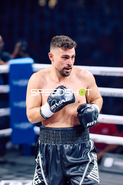 Boxer in Ringside Zone