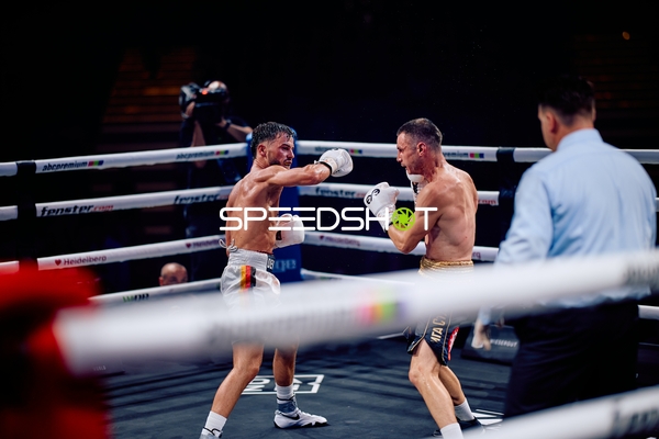 Boxer im Schlagabtausch