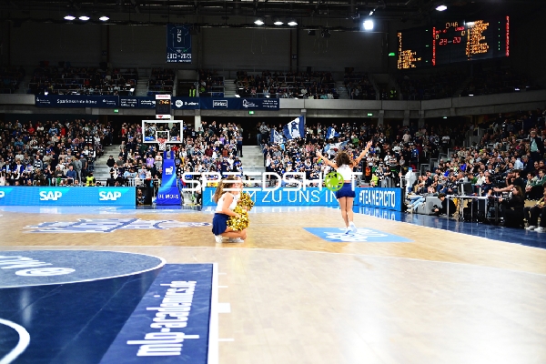 Fan-Szene in der Halle
