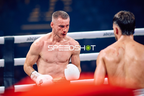 Boxer in Ringside Zone