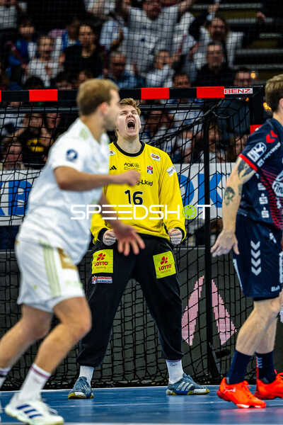 Handball I Herren I Saison 2024-2025 I Daikin HBL I 16. Spieltag I Handball Sport Verein Hamburg – SG Flensburg-Handewitt