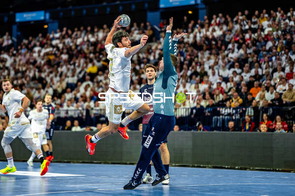 Handball I Herren I Saison 2024-2025 I Daikin HBL I 16. Spieltag I Handball Sport Verein Hamburg – SG Flensburg-Handewitt