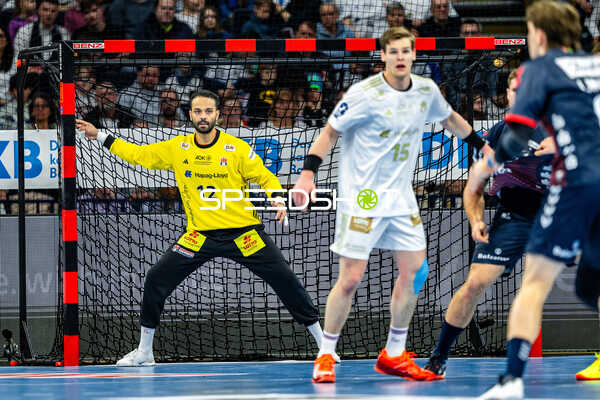 Handball I Herren I Saison 2024-2025 I Daikin HBL I 16. Spieltag I Handball Sport Verein Hamburg – SG Flensburg-Handewitt