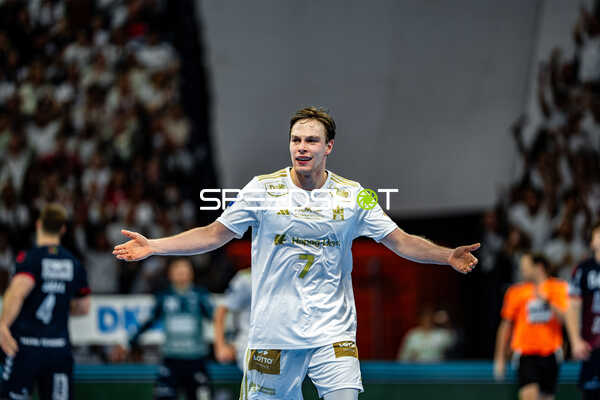 Handball I Herren I Saison 2024-2025 I Daikin HBL I 16. Spieltag I Handball Sport Verein Hamburg – SG Flensburg-Handewitt