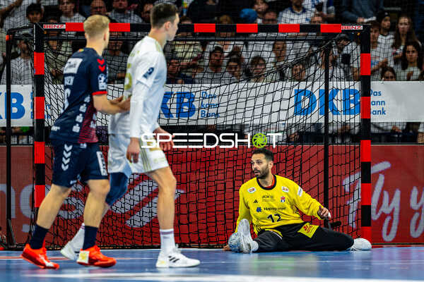Handball I Herren I Saison 2024-2025 I Daikin HBL I 16. Spieltag I Handball Sport Verein Hamburg – SG Flensburg-Handewitt