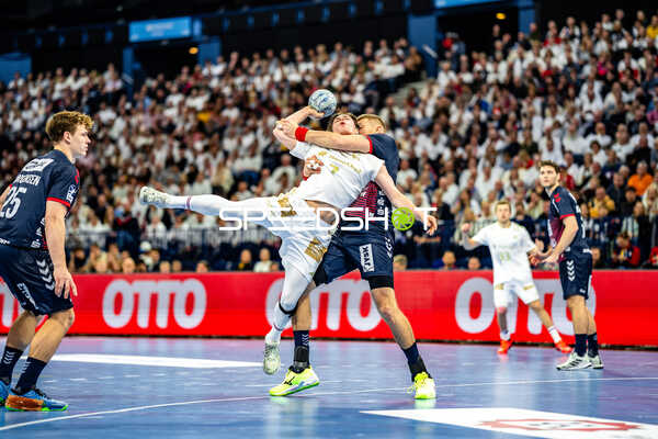Handball I Herren I Saison 2024-2025 I Daikin HBL I 16. Spieltag I Handball Sport Verein Hamburg – SG Flensburg-Handewitt