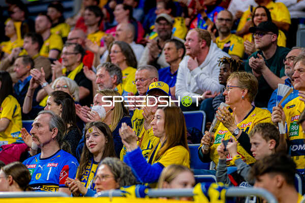 Handball I Herren I Saison 2024-2025 I Daikin HBL I 24. Spieltag I Rhein-Neckar Löwen - TSV Hannover-Burgdorf I 20.03.2025