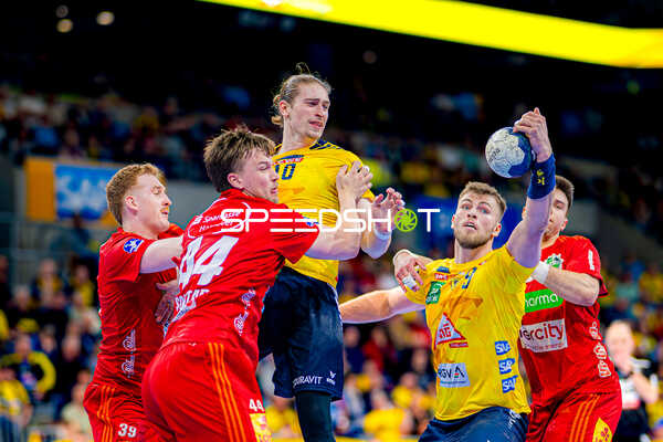 Handball I Herren I Saison 2024-2025 I Daikin HBL I 24. Spieltag I Rhein-Neckar Löwen - TSV Hannover-Burgdorf I 20.03.2025