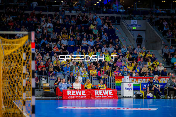 Handball I Herren I Saison 2024-2025 I Daikin HBL I 24. Spieltag I Rhein-Neckar Löwen - TSV Hannover-Burgdorf I 20.03.2025