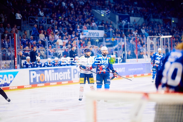 Adler Mannheim gegen Eisbären Berlin in den Playoffs