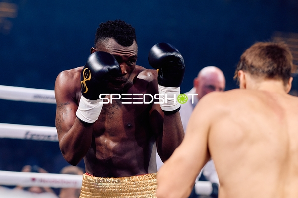 Boxer in Ringside Zone