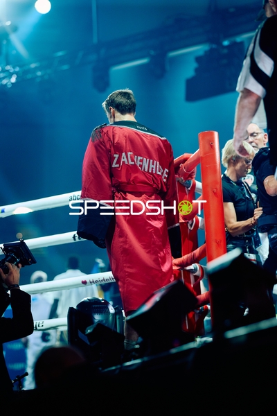 Boxer in Ringside Zone