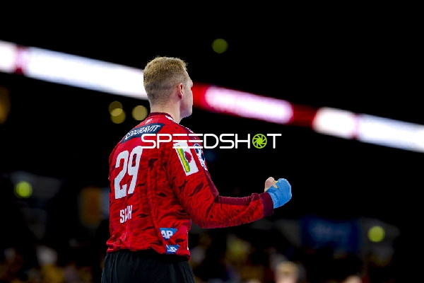 Parade von David Späth (29; Rhein Neckar Löwen)