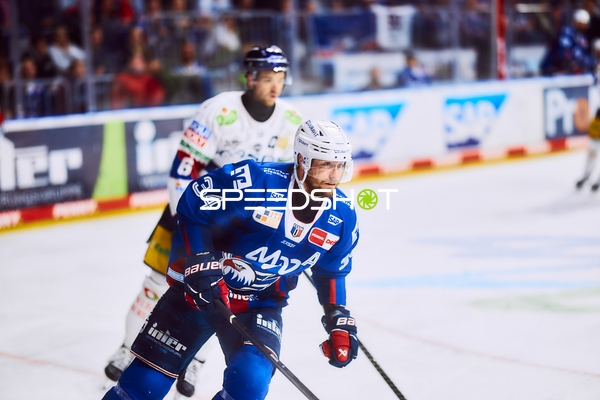 Adler Mannheim Spieler in Aktion