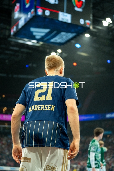 Frederik Bo Andersen (21; HSV Hamburg) und Spieler von Füchse Berlin