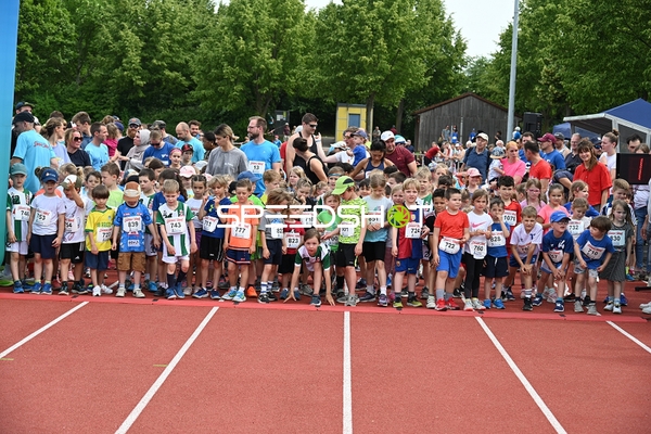 Startaufstellung beim TVE Sommerlauf Edingen 2025