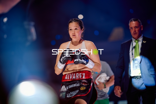 Boxerin in Ringside Zone