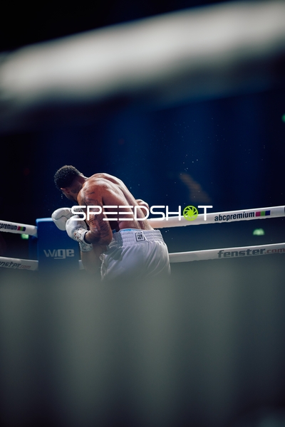 Boxer in Ringside Zone