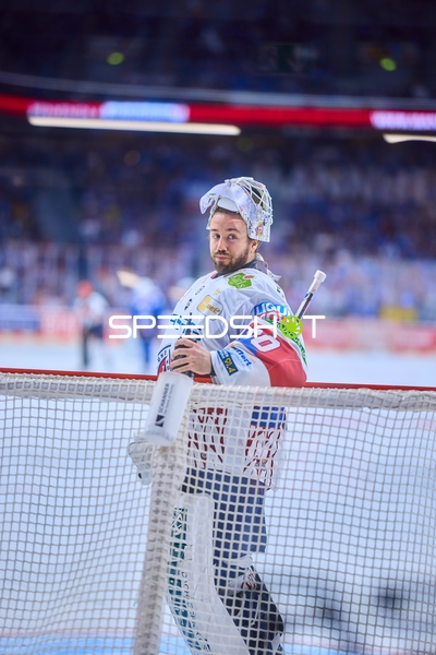 Eisbären Torwart fokussiert im Netz