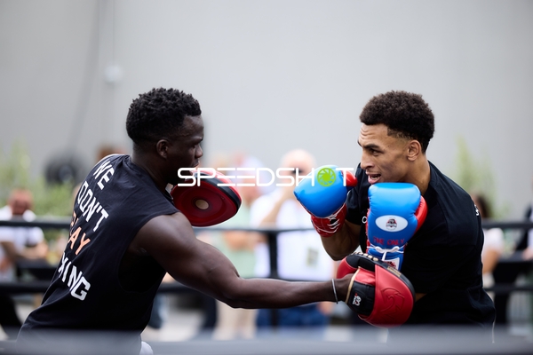 Boxer im Training und Schlagabtausch