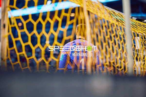 Ein Spieler hinter dem Tor