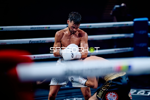 Boxer in Ringside Zone Boxevent