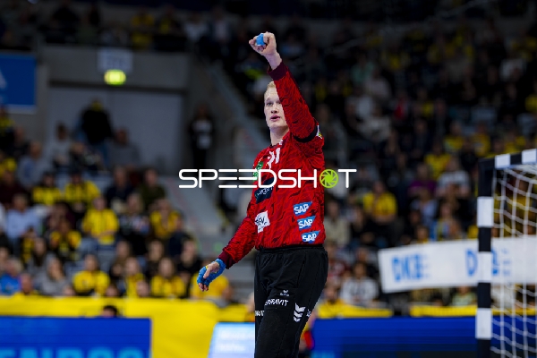 Parade von David Späth (29; Rhein Neckar Löwen)