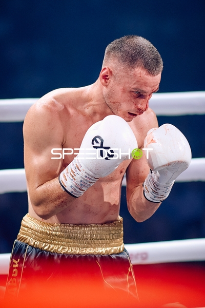 Boxer in Ringside Zone