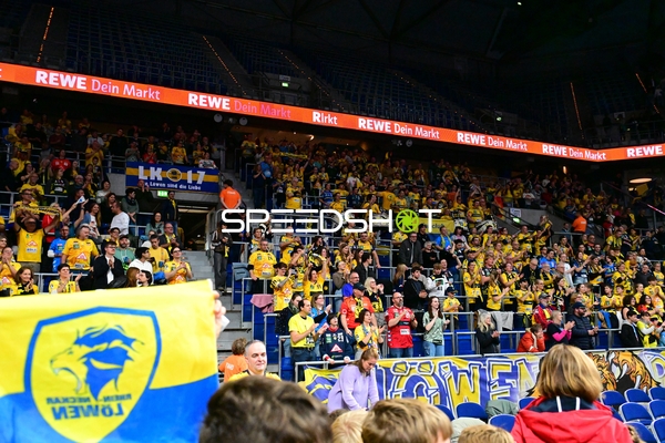 Fans von Rhein Neckar Löwen in der SAP ARENA