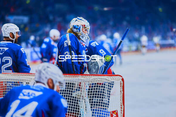Adler Mannheim verteidigt das Tor