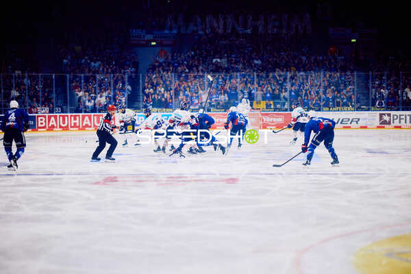 Faceoff zwischen Adler Mannheim und Eisbären Berlin