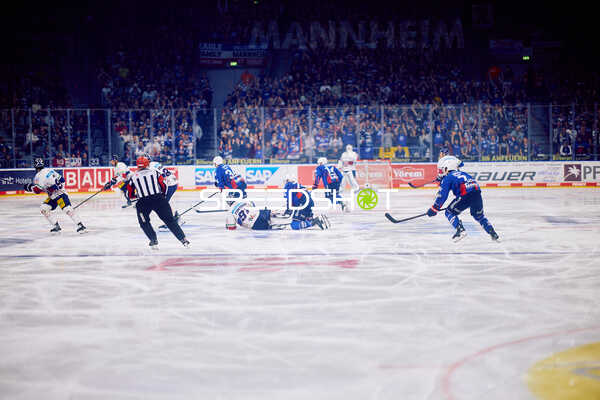 Intensive Eishockeyaktion bei Adler Mannheim gegen Eisbären Berlin