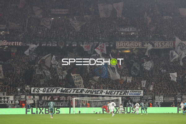 Begeisterte Fans im Stadion