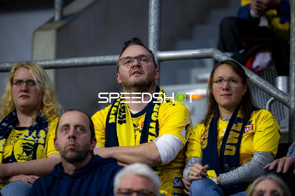 Fans in gelben Trikots