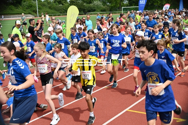 Gemeinsamer Laufstart beim TVE Sommerlauf