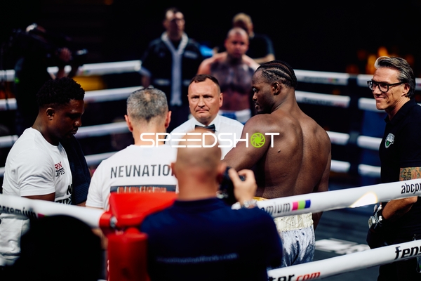 Boxer in Ringside Zone