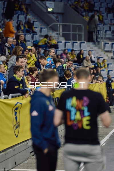 Zuschauer im Stadion, Zuschauerinteraktion