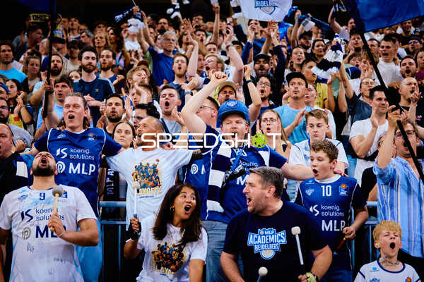 Fans feiern MLP Academics Heidelberg