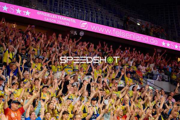 Fans der Rhein Neckar Löwen jubeln