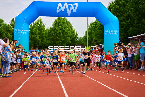 TVE Sommerlauf Edingen 2025