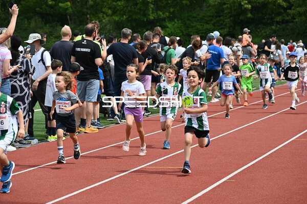 TVE Sommerlauf Edingen 2025