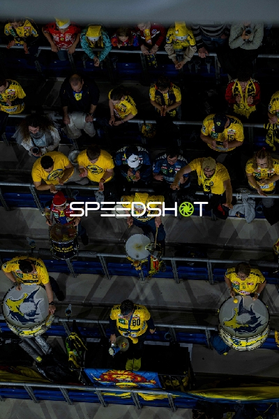 Fans in gelben Trikots in der SAP Arena