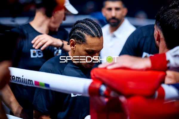 Boxer in der Ringside Zone