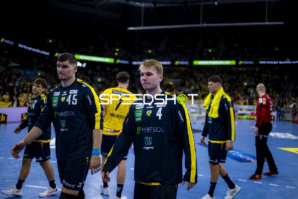 Spieler von Rhein Neckar Löwen im Gespräch