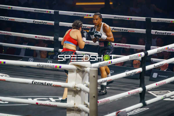 Boxer im Ring
