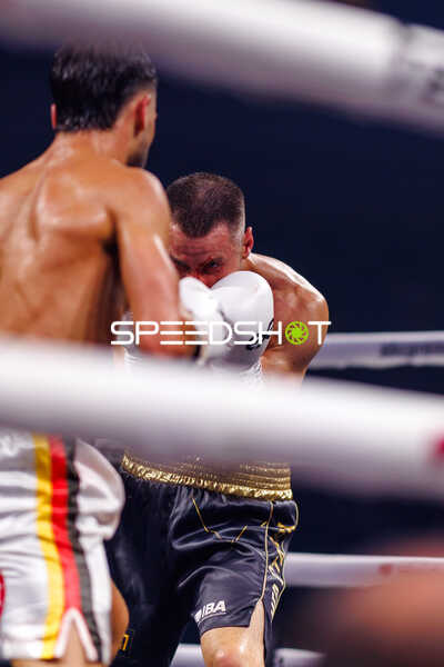 Boxer im Ringkampf