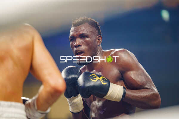 Boxer im Ring